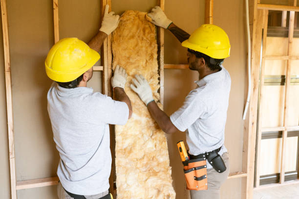 Best Insulation for New Construction  in Crystal Springs, MS