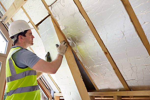 Best Home Insulation Services  in Crystal Springs, MS