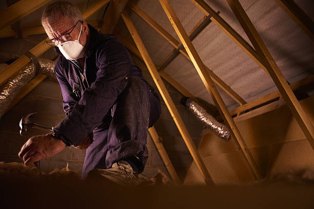 Best Insulation Replacement Services  in Crystal Springs, MS